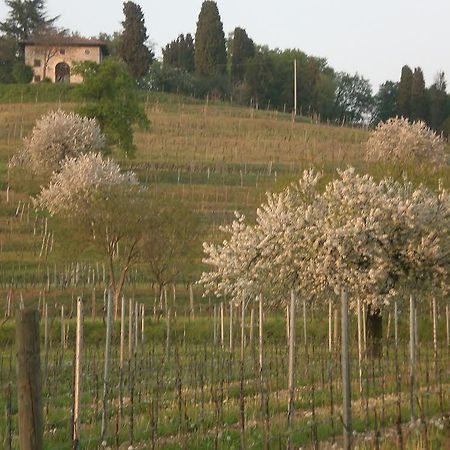 Willa Agriturismo Giorgio Colutta Manzano Zewnętrze zdjęcie