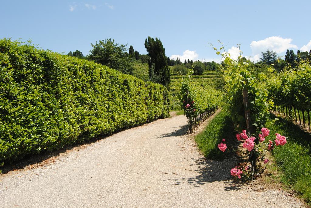 Willa Agriturismo Giorgio Colutta Manzano Zewnętrze zdjęcie